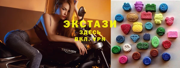 PSILOCYBIN Каменка