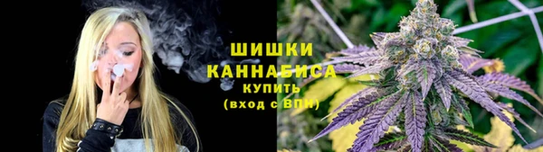 mdpv Каменногорск
