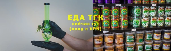 PSILOCYBIN Каменка