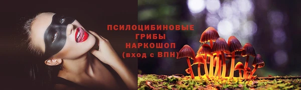 COCAINE Каменск-Шахтинский