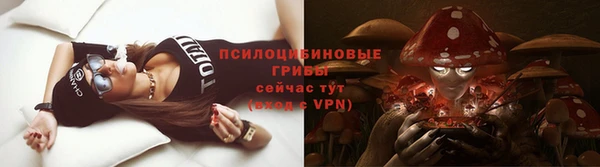 PSILOCYBIN Каменка