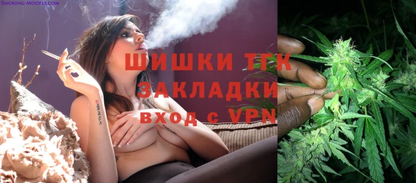 PSILOCYBIN Каменка