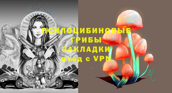 mdpv Каменногорск