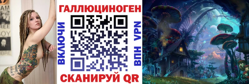 Купить закладки  Строитель  Псилоцибиновые грибы GOLDEN TEACHER 